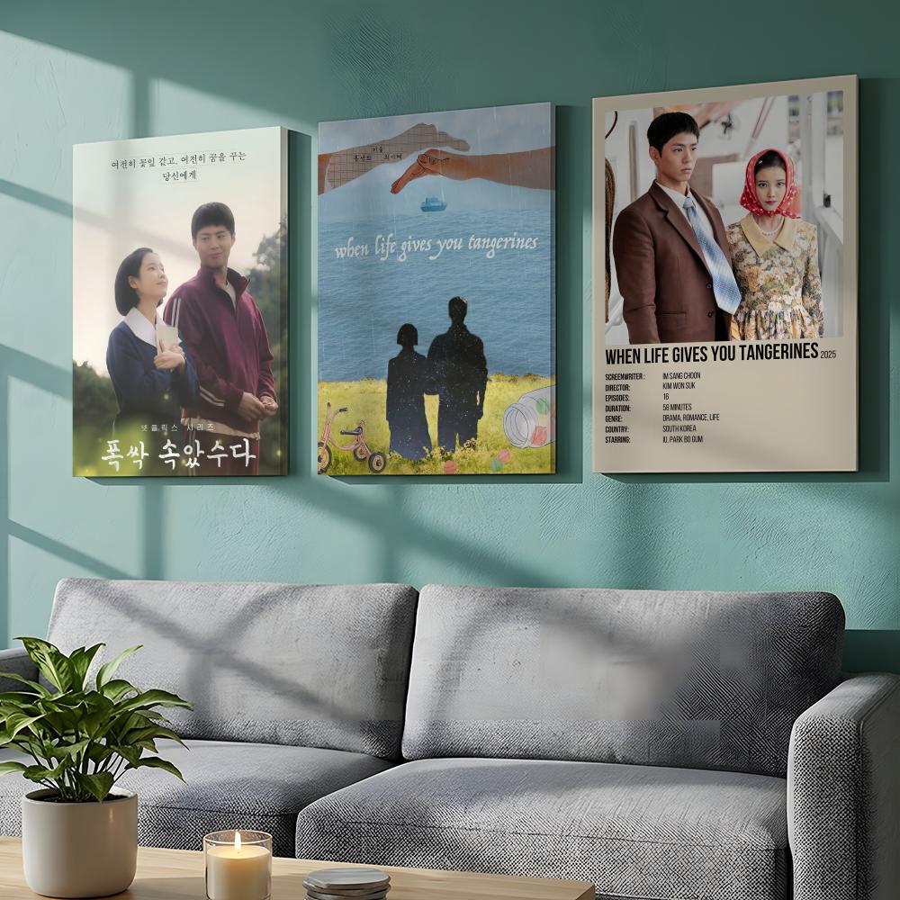 Korean TV When Life Gives You  - Korean Arts And Lifestyle reseña y precio