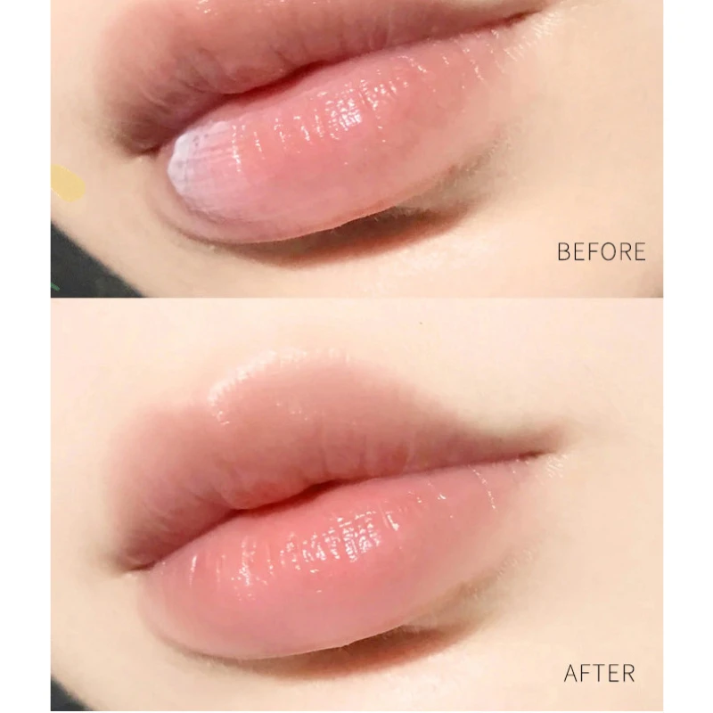1Pc Natural Plant Lip Balm Moi - Lip Tint Korean reseña y precio